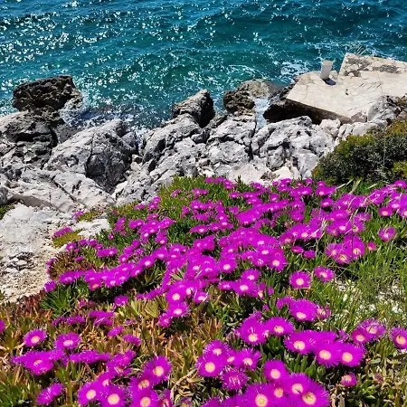 Glockner Trogir